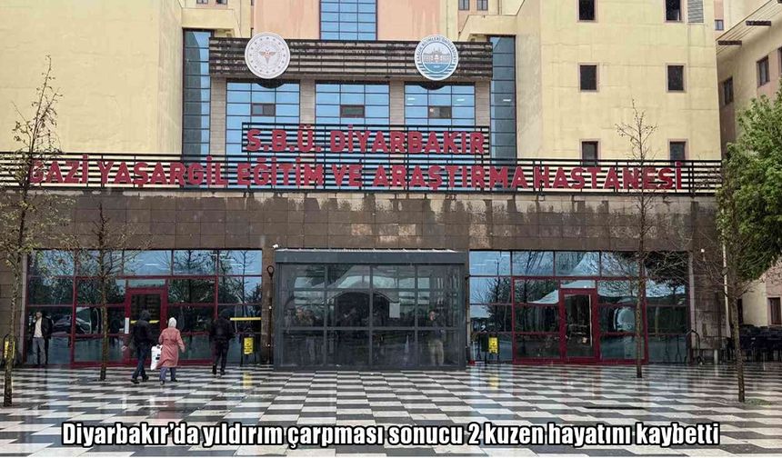 Ergani’de yıldırım faciası: 2 ölü, 1 ağır yaralı