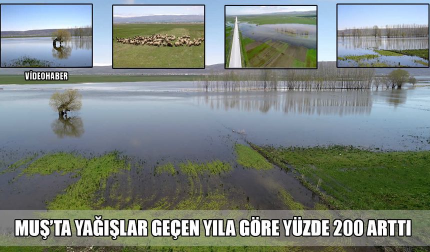 Muş’ta yağışlar yüzde 200 arttı: Son 20 yılın zirvesi