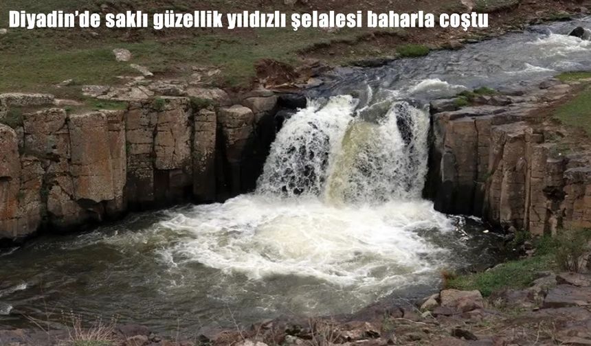 Diyadin'de saklı güzellik yıldızlı şelalesi baharla coştu