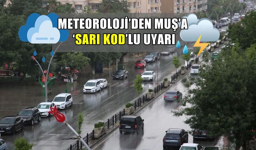 Muş için "Sarı" kodlu alarm: Kuvvetli yağış ve çığ tehlikesine dikkat!