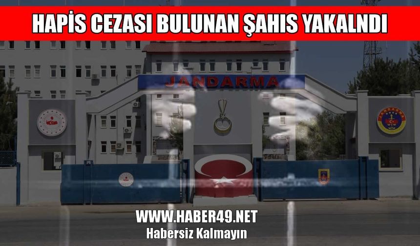 Muş’ta 4 yıl hapis cezası bulunan hükümlü yakalandı