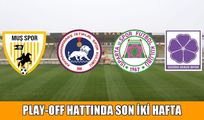 Muşspor play-off için kenetlendi