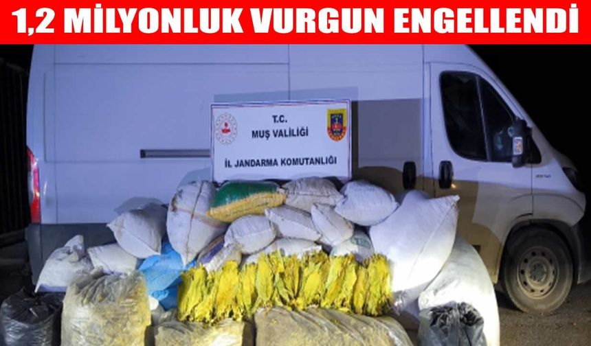 Muş’ta tütün operasyonu: 1,2 milyon TL değerinde kaçak ürün ele geçirildi