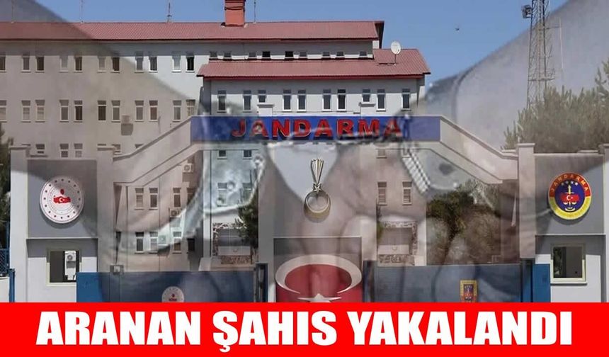 Muş’ta aranan hükümlü jandarma tarafından yakalandı