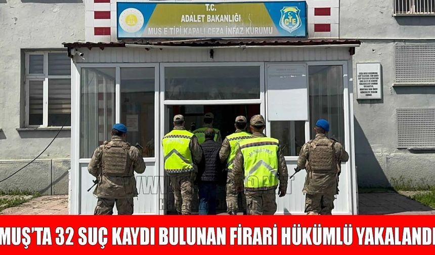 Jandarmadan suç makinesine şafak darbesi: 30 yıllık firar Hasköy’de son buldu