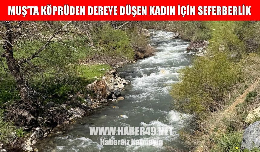 Muş’ta köprüden dereye düşen kadını arama çalışmaları sürüyor