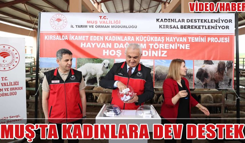Muş’ta 170 kadına 3 bin 400 küçükbaş hayvan dağıtıldı