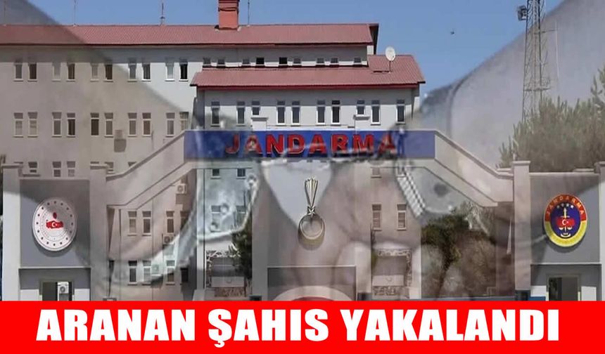 Varto’da firari şahıs jandarma operasyonuyla yakalandı