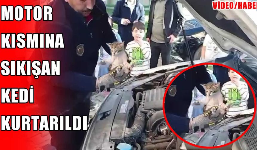 Muş’ta motor bölümüne sıkışan kedi itfaiye ekiplerince kurtarıldı