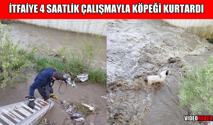 Muş’ta 4 saatlik kurtarma operasyonu: Çar Çayı’na düşen köpek itfaiye ekipleri tarafından kurtarıldı