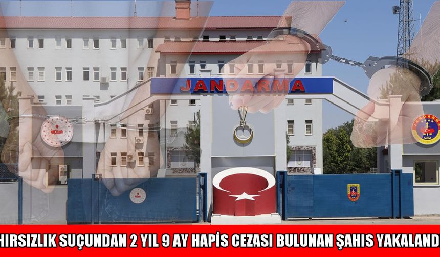 Muş'ta hırsızlık suçundan aranan hükümlü yakalandı