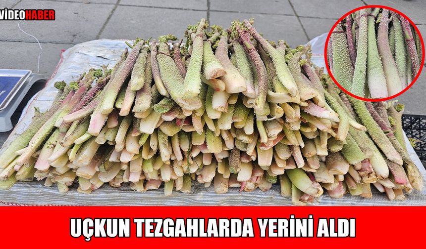 Muş’ta uçkun satışı başladı