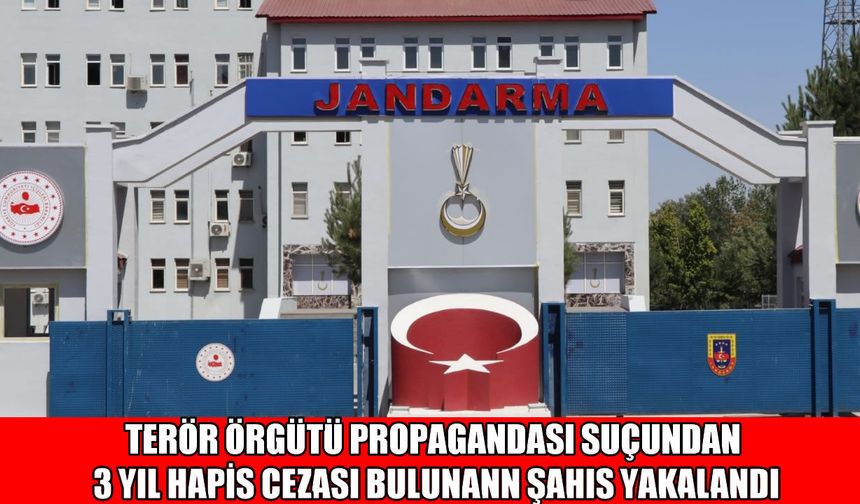 Muş’ta ‘terör propagandası’ndan aranan hükümlü yakalandı