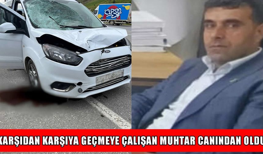 Muş’ta feci kaza: Yolun karşısına geçmek isteyen muhtar hayatını kaybetti