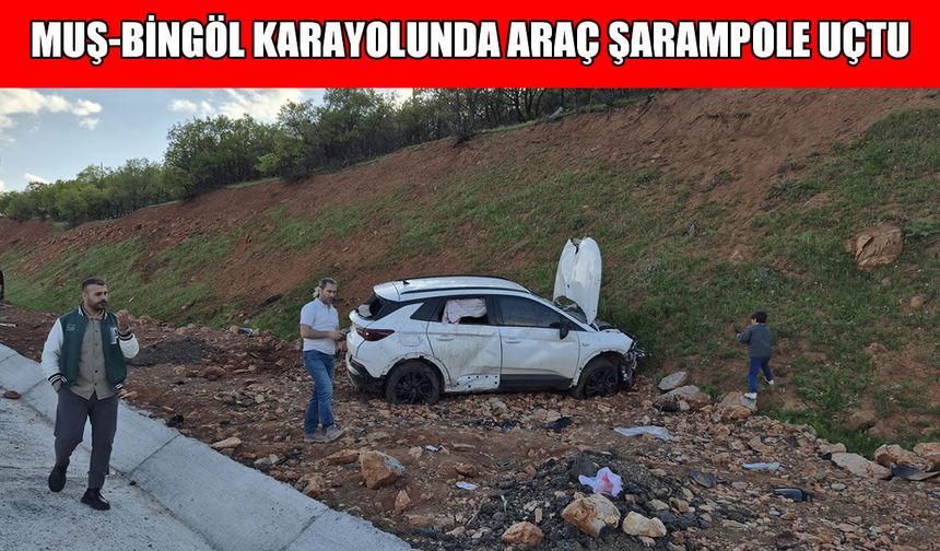 Muş-Bingöl kara yolunda kaza: 6 yaralı