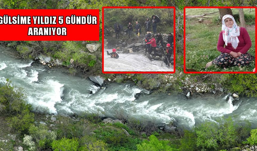 Muş’ta akıntıya kapılan Gülsime Yıldız’dan 5 gündür haber yok