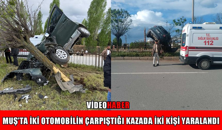Muş-Bitlis kara yolunda iki araç çarpıştı: 2 yaralı