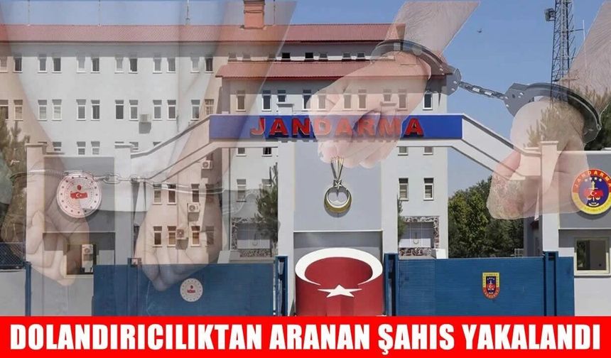 Muş’ta dolandırıcılık suçundan aranan şahıs yakalandı