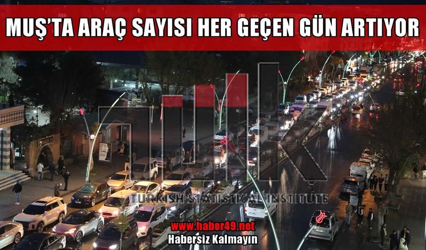 Muş’ta araç sayısı 43 bini aştı