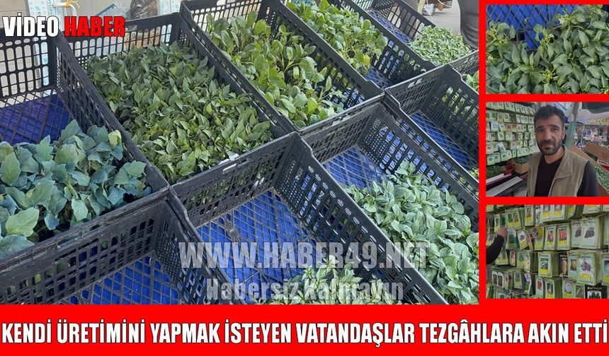 Muş’ta sebze ve meyve fideleri tezgâhlarda yerini aldı