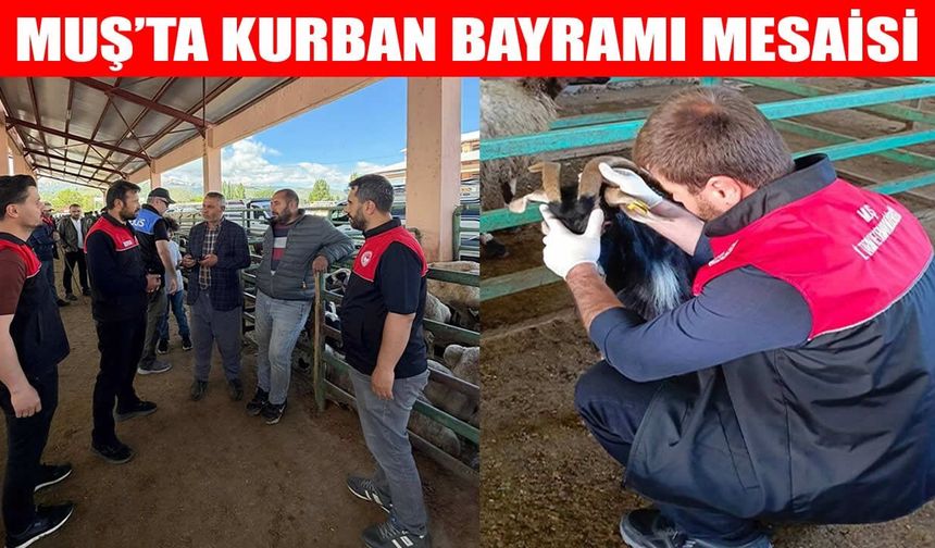Muş’ta kurban kesim alanlarında titiz denetim