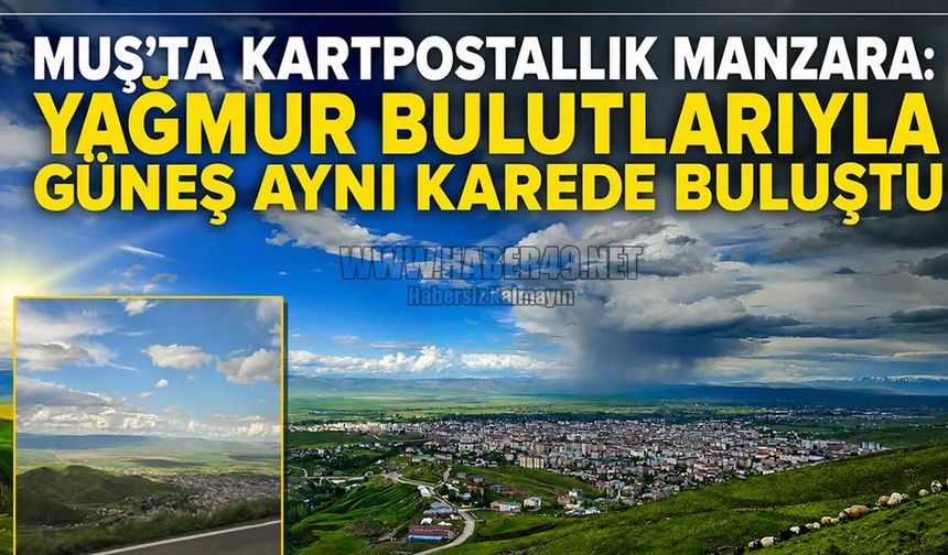 Bahar yağmurları sonrası Muş’ta doğa şöleni