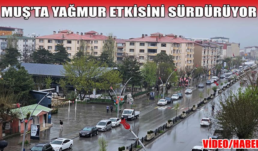 Muş sağanak yağış altında