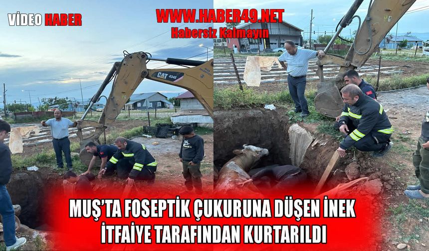 İtfaiyeden 'Can' kurtarma operasyonu