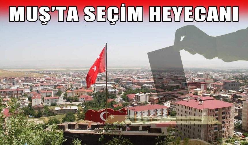 Muş yarın sandık başına gidiyor!