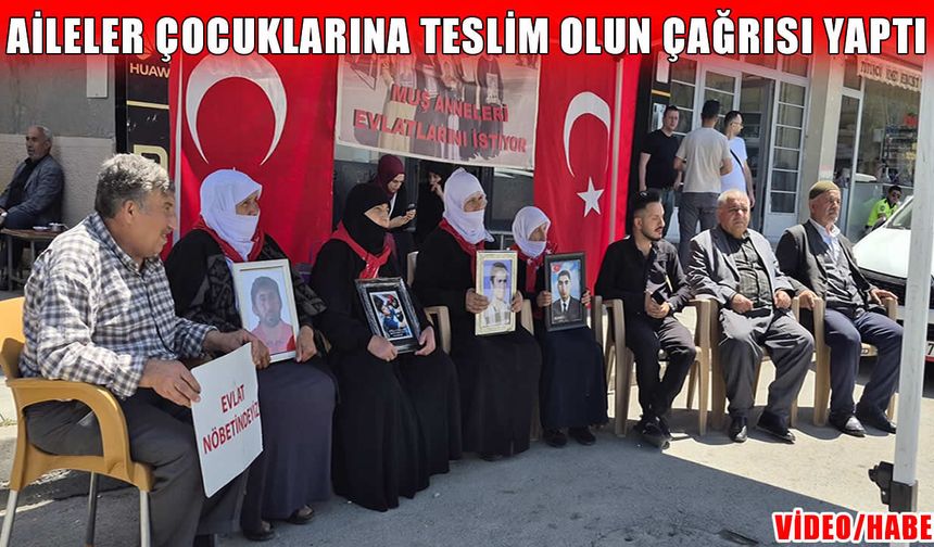 Muş’ta çarşamba günü yine aynı haykırış: Evlatlar için nöbet sürüyor