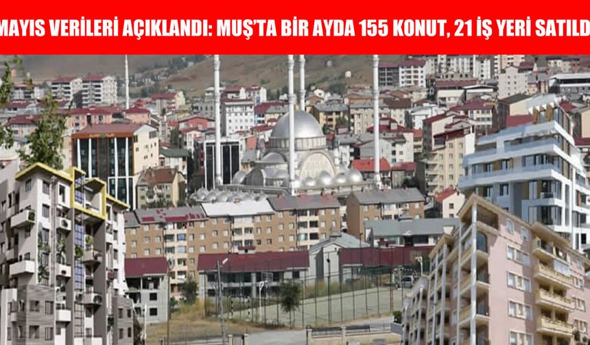 Muş'ta Mayıs ayında 155 konut, 21 iş yeri satıldı