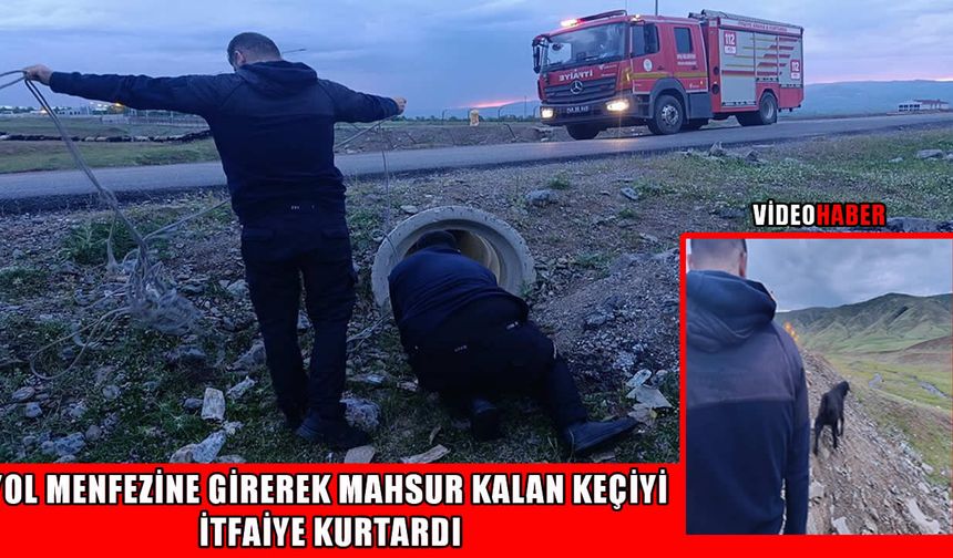 Muş’ta menfeze sıkışan keçi itfaiye ekiplerince kurtarıldı
