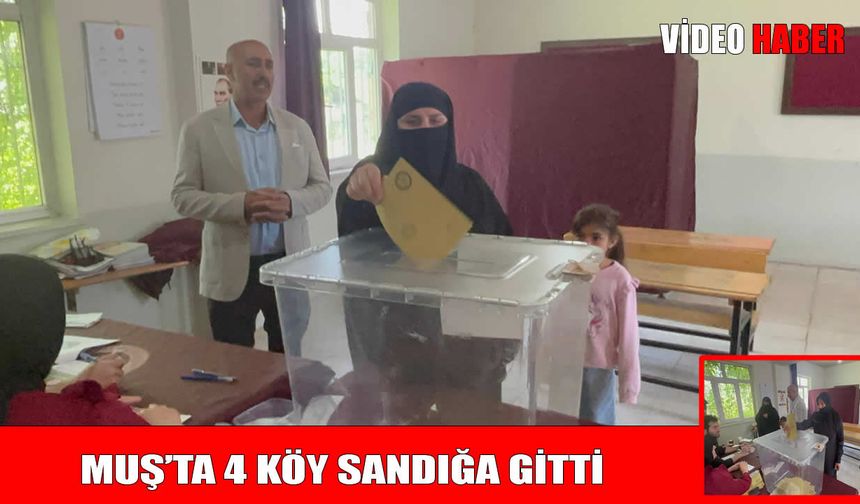 Muş’ta muhtarlık seçimi heyecanı