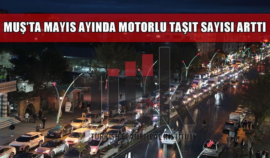 TÜİK açıkladı: Muş’ta araç sayısı 43 bin 735’e ulaştı