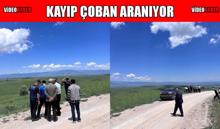 Muş’ta kayıp çoban için arama çalışması başlatıldı