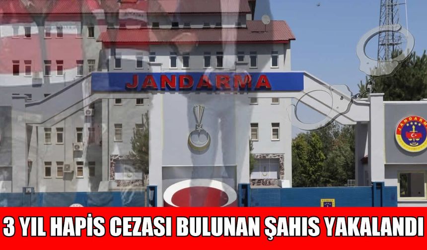 Muş’ta 3 yıl hapis cezasıyla aranan hükümlü yakalandı