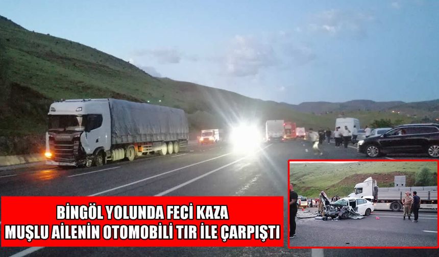 Muşlu aile Bingöl yolunda kaza yaptı: 2'si ağır 3 yaralı