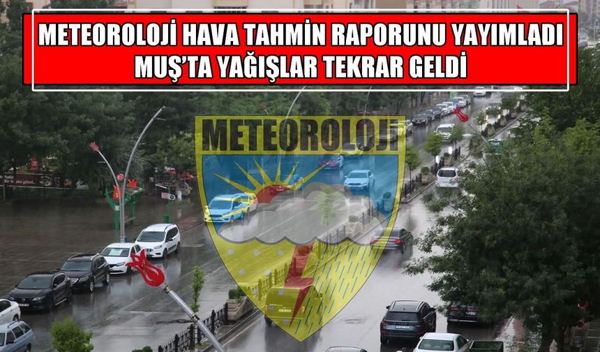Muş yağışlı havanın etkisine giriyor: İşte 5 günlük hava tahmin raporu