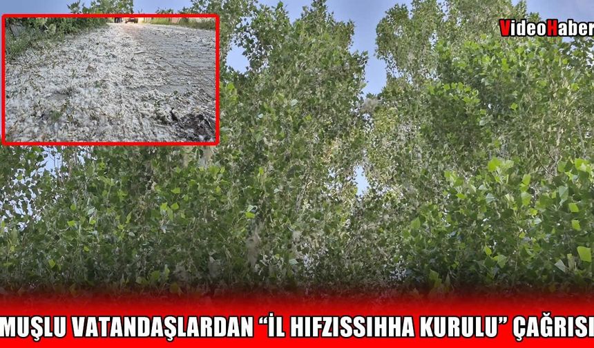 Muş’ta polenler arttı, vatandaşlar isyan etti: “Dışarı çıkamaz hale geldik”
