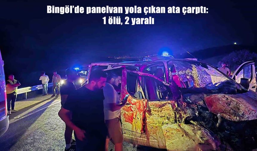 Bingöl’de panelvan yola çıkan ata çarptı: 1 ölü, 2 yaralı
