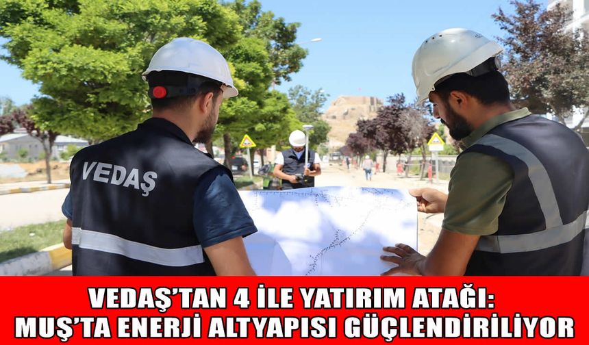 Muş dahil VEDAŞ'tan 4 ile yatırım atağı