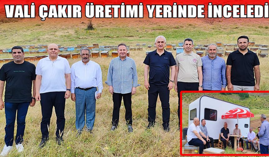 Muş’ta arıcılığa “Altın” destek: Vali Çakır üreticiyle sahada buluştu