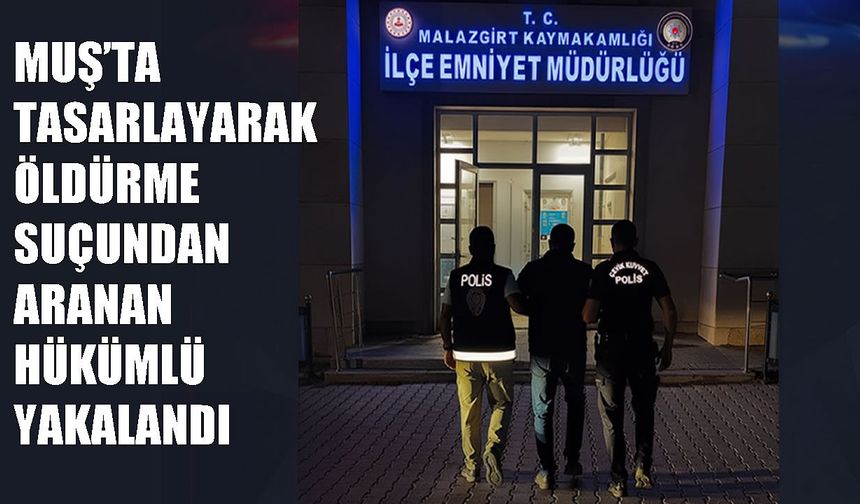 İstanbul'da aranan hükümlü Muş'ta yakalandı