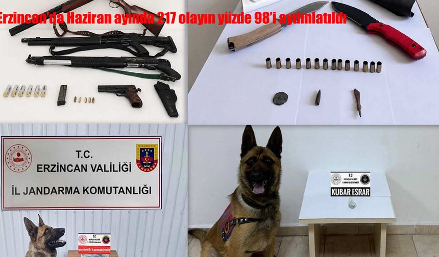 Erzincan'da Haziran ayında 217 olayın yüzde 98'i aydınlatıldı