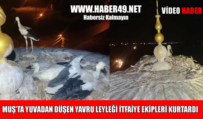 Muş itfaiye ekiplerinden duyarlı müdahale