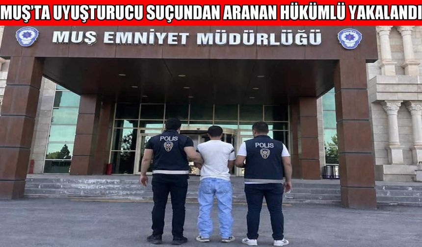 Muş’ta 9 yıl hapis cezasıyla aranan hükümlü yakalandı