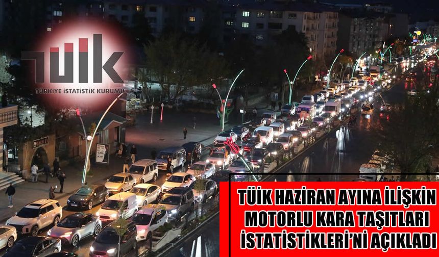 Muş'ta bir ayda 216 araç daha trafiğe katıldı