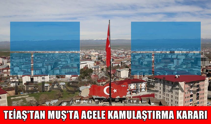 TEİAŞ'tan Muş’ta acele kamulaştırma kararı
