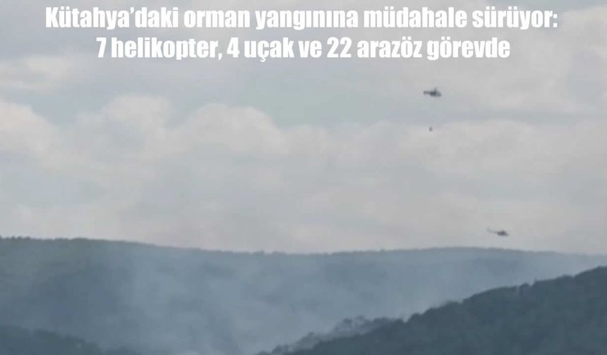 Kütahya'daki orman yangını: Havadan ve karadan yoğun müdahale