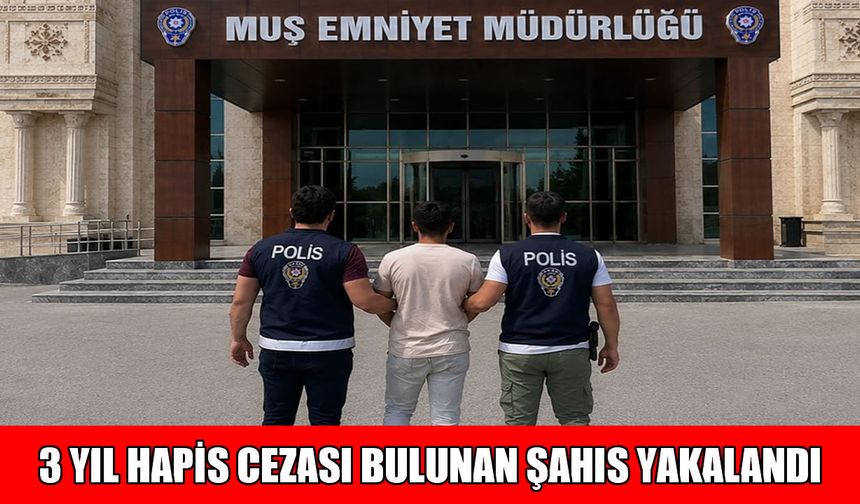 Muş’ta 3 yıl hapis cezası bulunan hırsızlık hükümlüsü yakalandı